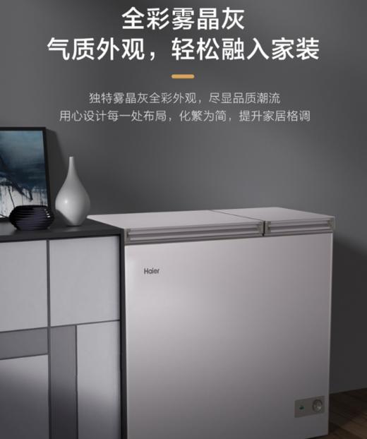 海尔双温冰柜215升 冷冻冷藏 双门双箱大冷柜 一级能效 大容量无需除霜 FCD-215GHXPC 商品图7