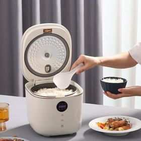大宇（DAEWOO）电饭煲家用多功能3L保温预约智能电饭煲DYFB-503L