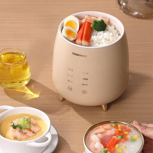 大宇（DAEWOO）家用小型多功能早餐机隔水炖煮蛋器DYZC-B08 商品图4