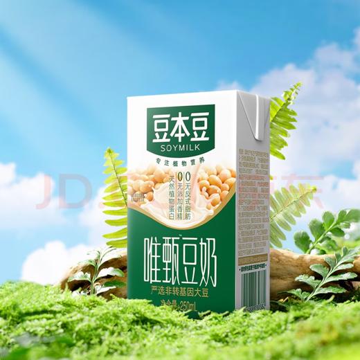 豆本豆唯甄豆奶 250ml*24盒 商品图1