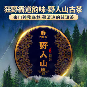 【野人山】人迹罕见的原始丛林被爱茶人赞为普洱圣地，既有班章的霸气又保留了原始森林的韵味