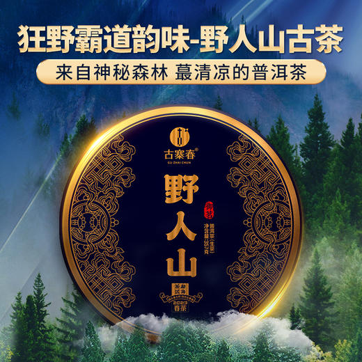 【野人山】人迹罕见的原始丛林被爱茶人赞为普洱圣地，既有班章的霸气又保留了原始森林的韵味 商品图0