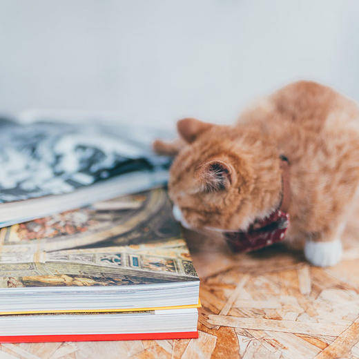 《文艺复兴三杰》｜你的私人博物馆，1800幅艺术珍品的饕餮盛宴 商品图3