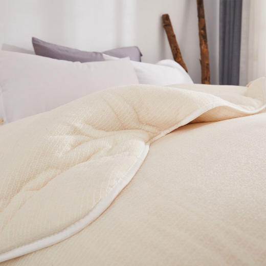 原产地 新疆长绒棉被100%新疆棉 商品图0