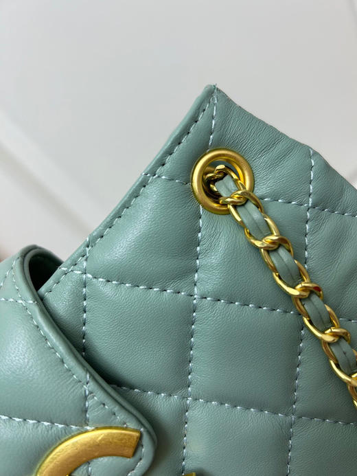 秋冬特惠💰580 香奈儿chanel 24c复古 大LOGO腋下包3312 商品图4