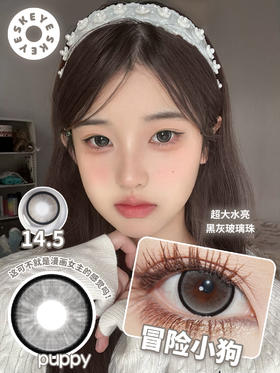 skeye 恋爱小兔 棕/冒险小狗 灰 14.5m 半年抛 非离子