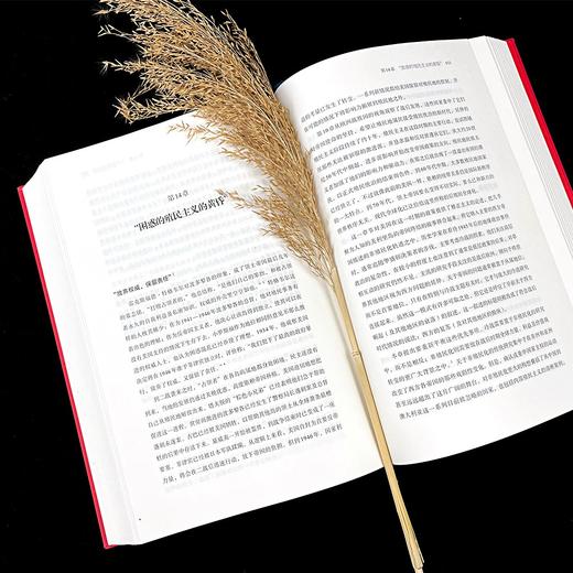 美利坚帝国 商品图1