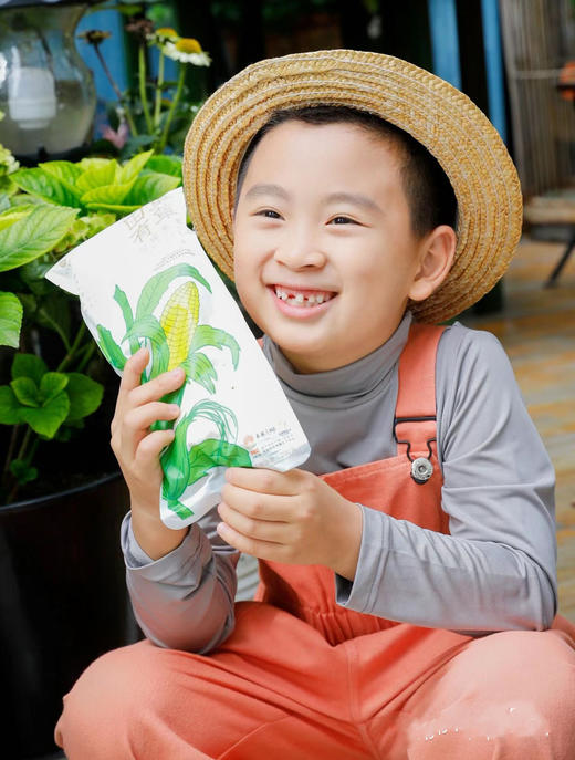 田里有草 甜糯玉米 鲜香软糯165克/根 10根/箱 FX-A-427-231124 商品图1