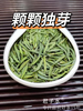 颗颗独芽【雀舌茶100g清香味】采摘早春嫩芽 四川高山绿茶 清香四溢 明前高档茶叶 商品缩略图3