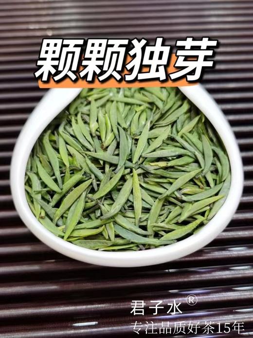 颗颗独芽【雀舌茶100g清香味】采摘早春嫩芽 四川高山绿茶 清香四溢 明前高档茶叶 商品图3