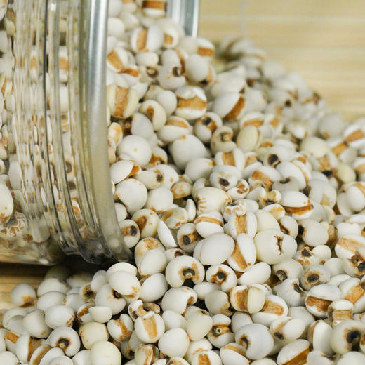 【薏仁米】薏仁、 薏苡仁、薏米，贵州产  煮粥、煲汤 400克/罐 商品图1