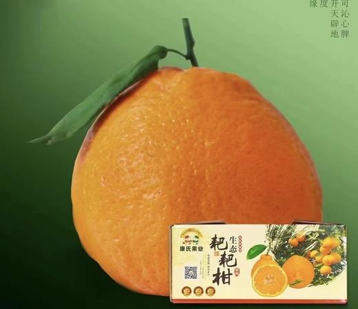 康氏耙耙柑（净果9.5-10斤） 商品图0