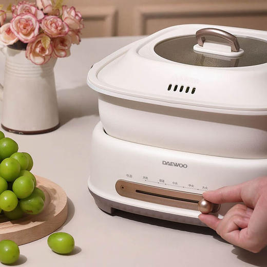 大宇（DAEWOO）电火锅家用6L大容量鸳鸯锅多功能蒸煮烤锅DYZG-6L16 暖阳白 商品图8