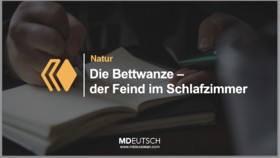 69.【自然】卧室里的敌人床虱