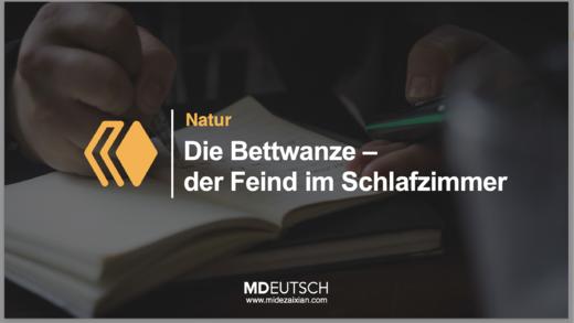 69.【自然】卧室里的敌人床虱（MP3） 商品图0