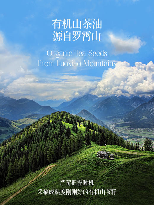 【OMEGA9系列】热炒有机山茶籽油500ml 商品图4
