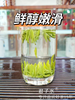 颗颗独芽【雀舌茶100g清香味】采摘早春嫩芽 四川高山绿茶 清香四溢 明前高档茶叶 商品缩略图4