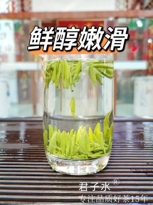 颗颗独芽【雀舌茶100g清香味】采摘早春嫩芽 四川高山绿茶 清香四溢 明前高档茶叶 商品图4