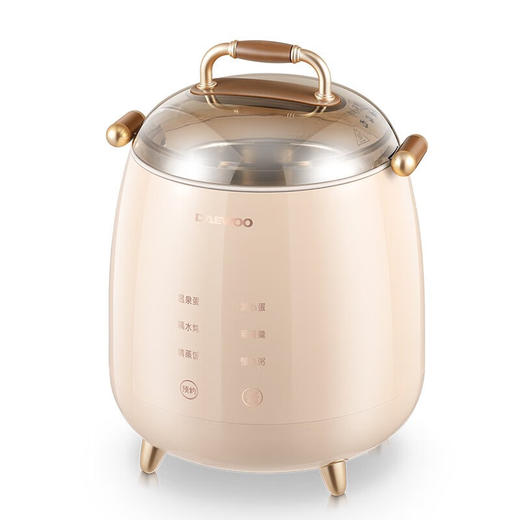 大宇（DAEWOO）家用小型多功能早餐机隔水炖煮蛋器DYZC-B08 商品图9