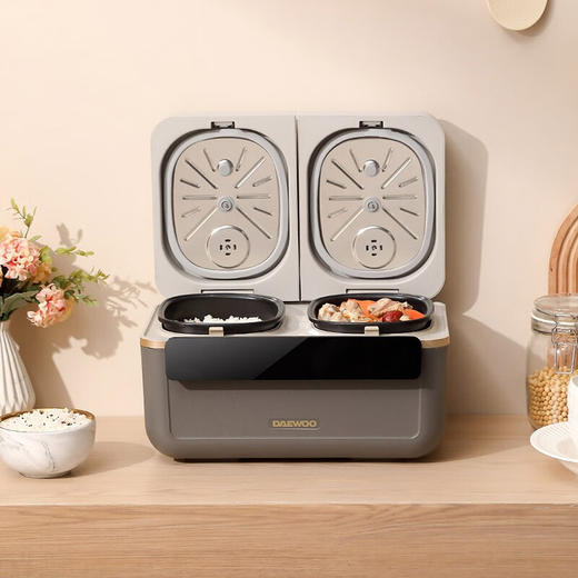大宇（DAEWOO） 家用智能多功能迷你双胆智能养生电饭煲 DYFB-4020 商品图4