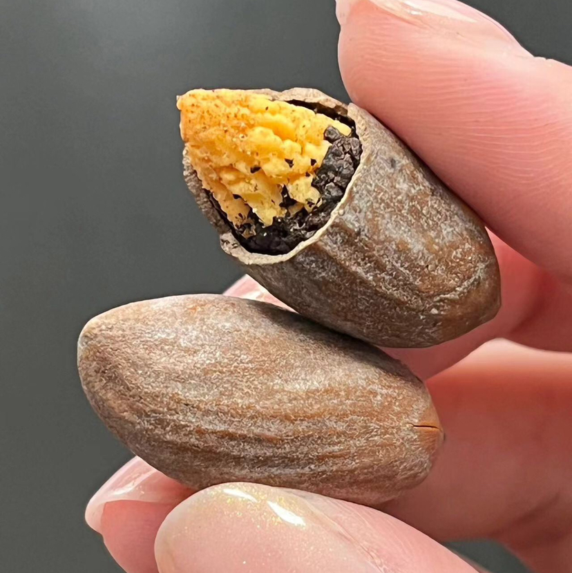 🆕香榧 坚果中的爱马仕
口感，香脆，很特别的味道，挺上头的‼️200g
润肠效果一级赞