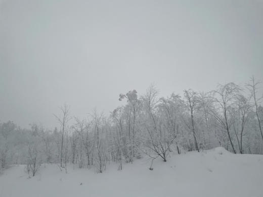 【梦幻雪国】7天6晚穿越1200公里的雪国浪漫，东北雪季 定金专拍 商品图5