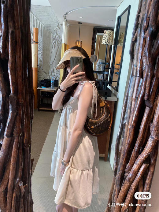 Lv月亮包 商品图5