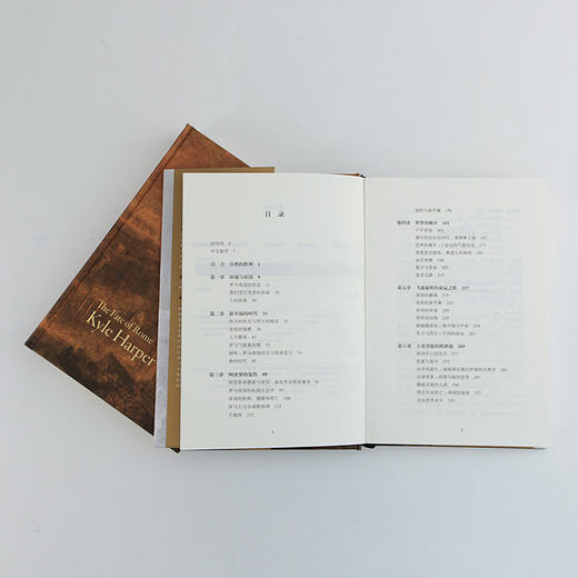 罗马的命运 商品图3