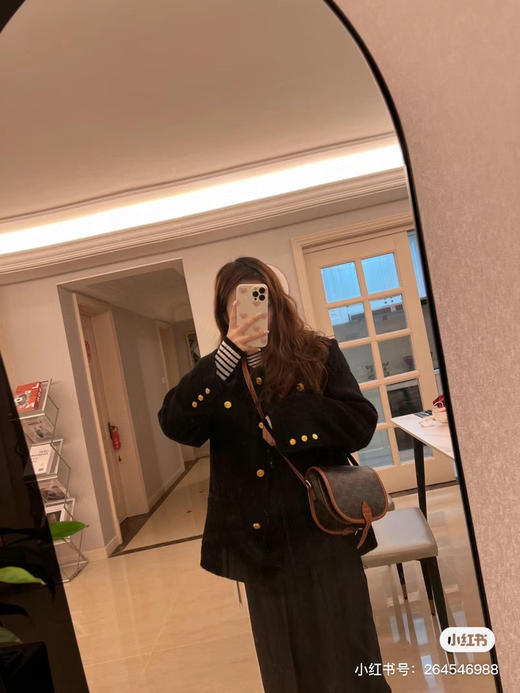 Celine 马鞍包 商品图6