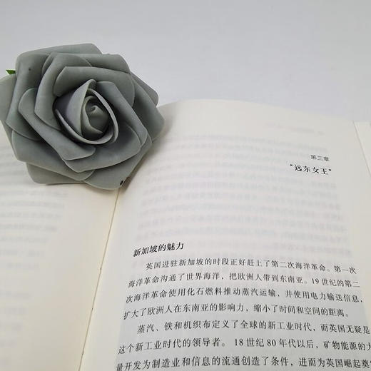 新加坡:不可思议的崛起 商品图4