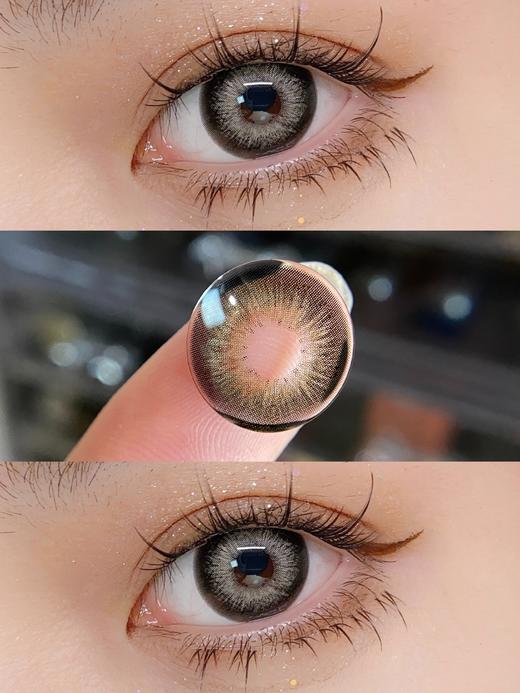 圣赛尔黑 半年抛 WINNI 商品图1