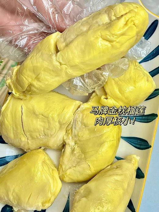 马牌榴莲1kg 商品图1