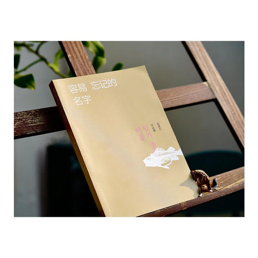 容易忘记的名字  八零后天才女作家金爱烂作品集 商品图5