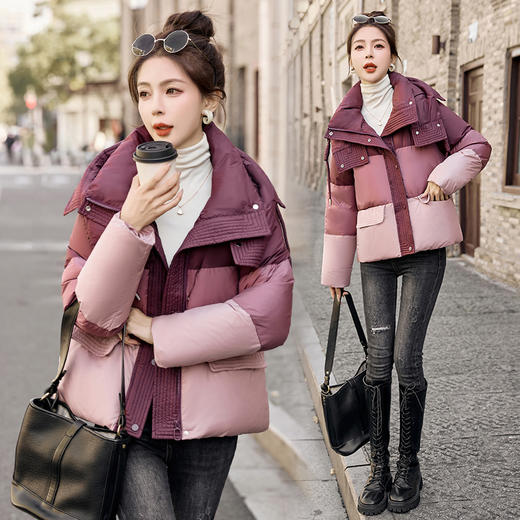 冬季新款，高端时尚潮流大气短款外套白鸭绒羽绒服HR-BBL23030 商品图1