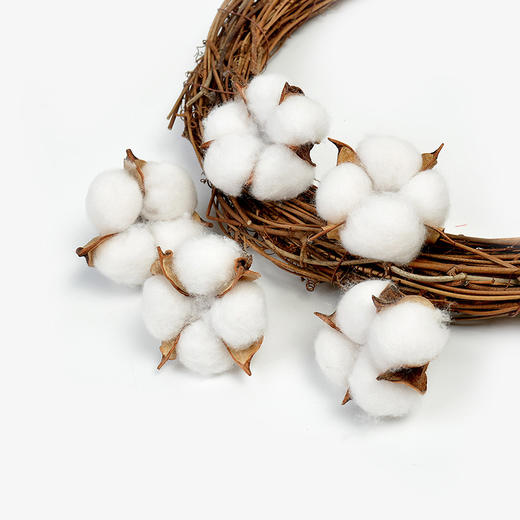 【圣诞饰品】天然棉花干花装饰（10个/袋） 商品图3