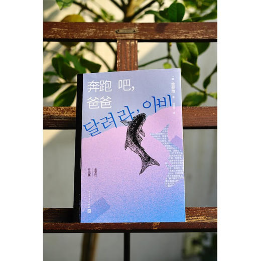 奔跑吧，爸爸（韩）金爱烂 商品图3