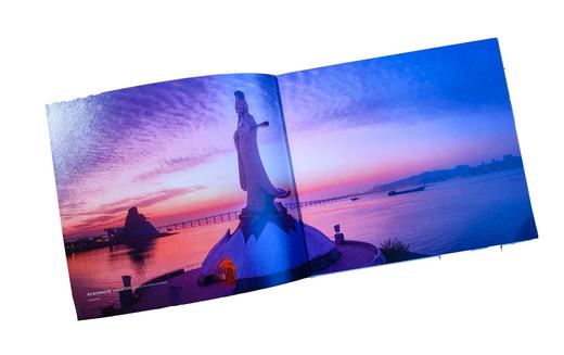 《爱丽丝的澳门》严芳/澳门出版社协会 商品图4