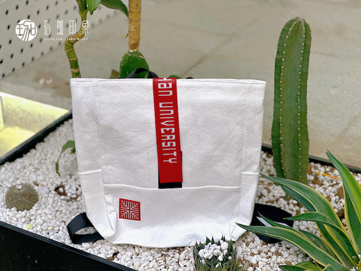 杜邦纸背包 商品图0