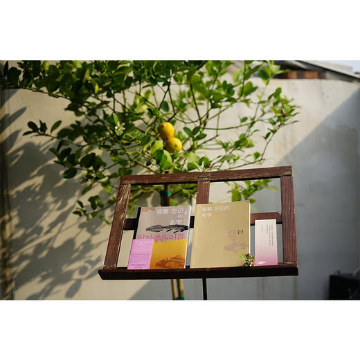 容易忘记的名字  八零后天才女作家金爱烂作品集 商品图2