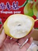 红箱香梨一箱 商品缩略图4