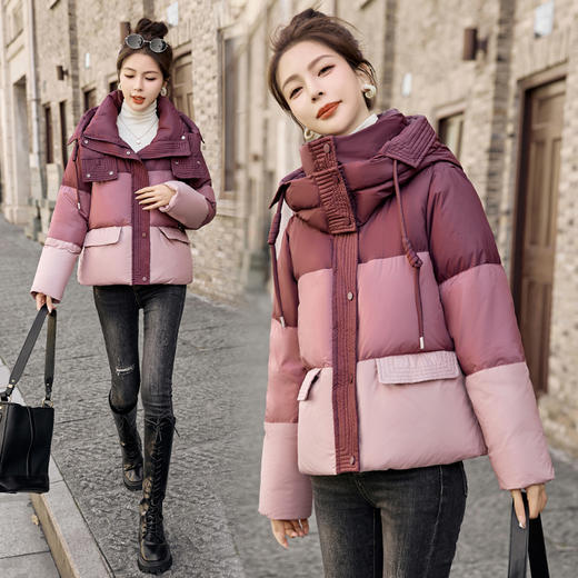 冬季新款，高端时尚潮流大气短款外套白鸭绒羽绒服HR-BBL23030 商品图7