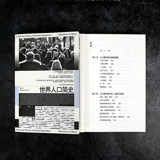 世界人口简史 商品图1