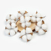 【圣诞饰品】天然棉花干花装饰（10个/袋） 商品缩略图7