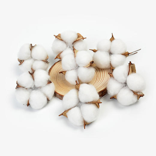 【圣诞饰品】天然棉花干花装饰（10个/袋） 商品图7