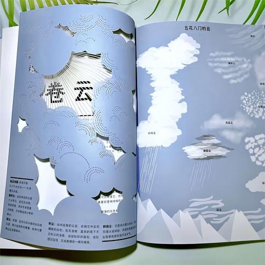 天空 科普图画书 揭秘苍穹中的万物 认识不同的云朵 了解什么是授粉 远眺旅行的候鸟  电子工业出版社 商品图2