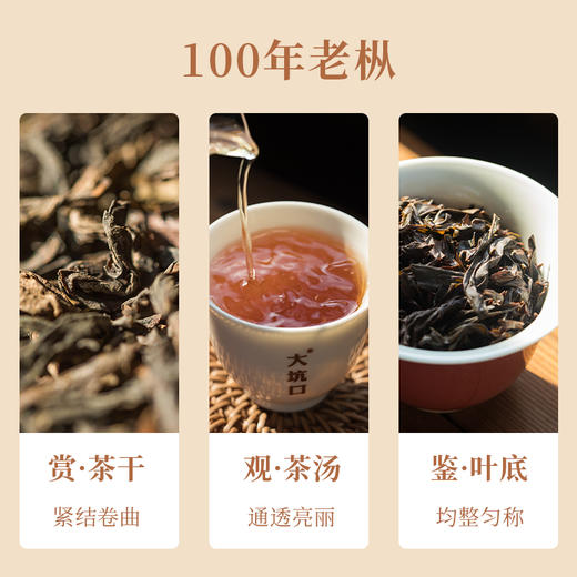 【武夷岩茶 大坑口百年老枞】枞味之味 沧桑醇厚 54g/份 商品图1