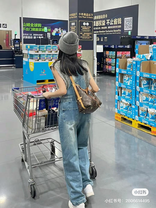 Lv carryall 小号 商品图2