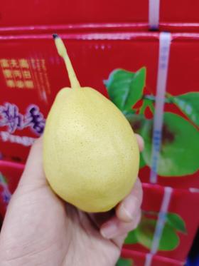 红箱香梨一箱