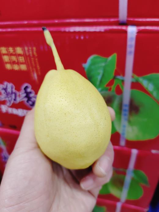 红箱香梨一箱 商品图0