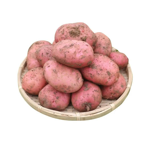 【自营】高原有机红皮土豆350-400g 商品图0